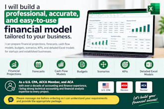 build a professional financial model, forecast and projections