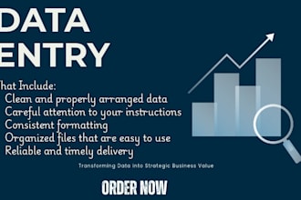 do data entry, data cleaning for your brand and company