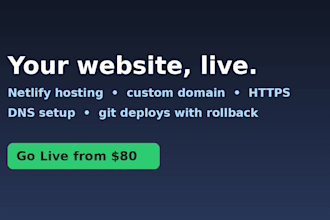 set up and launch your website on netlify with your custom domain