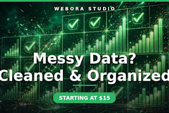 clean and organize your messy excel data