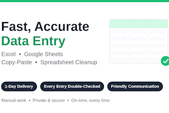 do fast data entry, copy paste, and excel clean up