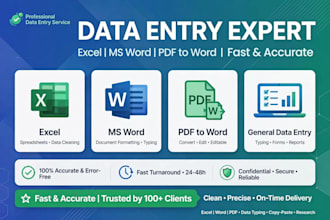 do fast data entry, excel data, typing and copy paste work