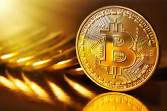 help you set up a bitcoin wallet and learn crypto step by step