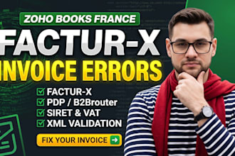 fix zoho books france factur x and pdp invoice errors