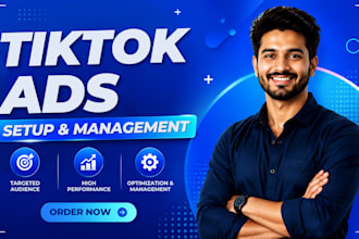 manage a tiktok ads campaign with audience targeting