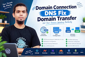 connect domain, transfer domain, fix dns