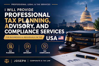 provide professional US tax planning, advisory, and compliance services