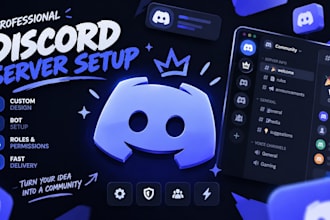 setup a professional discord server