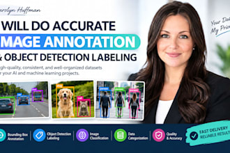do accurate image annotation and object detection labeling