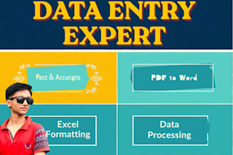 do data entry in excel and pdf to word and excel  format