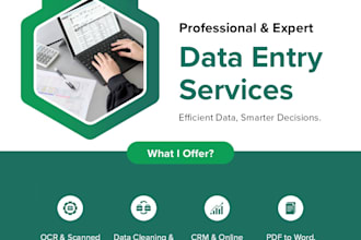 data entry, ocr scanning, typing, excel, word powerpoint document conversion