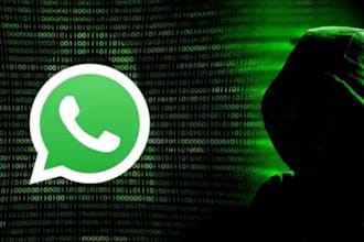 whatsapp hacked device whatsapp hacked professional hackers professional hacked