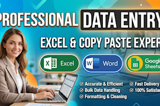 do expert excel data entry and spreadsheet cleanup work