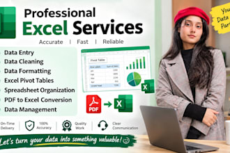 do data entry, data formatting and excel pivot tables
