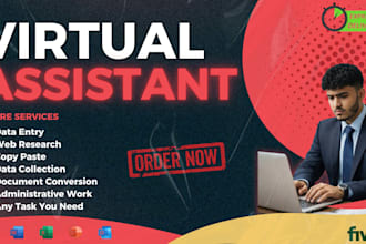 do excel data entry, web research, and copy paste work as your virtual assistant
