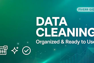 data cleaning deduplication and excel file organization