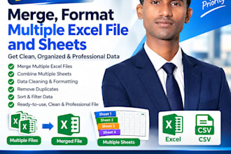 merge, format multiple excel file and sheets