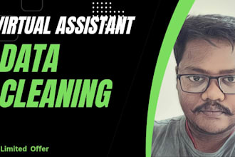 do data cleaning, excel formatting, remove duplicates
