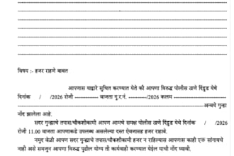 do marathi typing  and data entry accurately