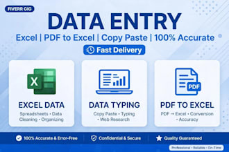 do accurate data entry, excel data entry and copy paste work