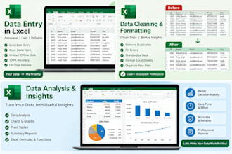 do data entry and data analysis in excel