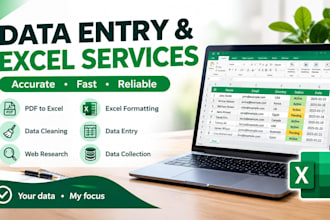 do data entry and excel spreadsheet work