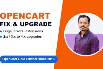 fix bugs, build custom extensions or upgrade your opencart store