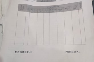 do professional ms office, word fromatting