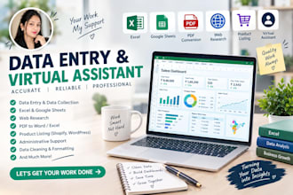 do excel data entry data cleaning and data formatting