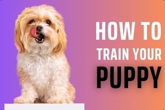 train your puppy or dog in obedience and everyday manners
