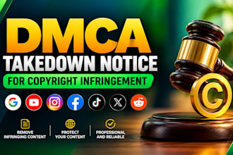 send a professional dmca takedown notice for copyright infringement