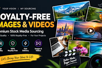 research and source royalty free stock images and videos