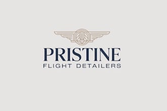design a luxury private jet detailing company logo