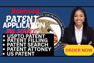 draft a professional US patent application for your invention