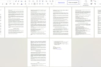 write and edit professional spanish texts