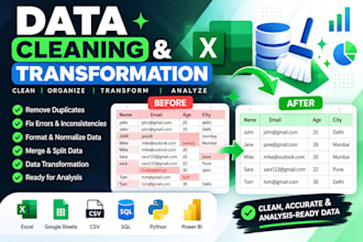 do professional data cleaning and transformation of data