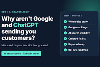 audit your SEO and ai search visibility and give you a fix first plan