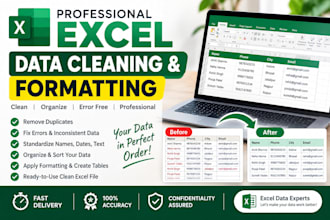 excel data cleaning and formatting