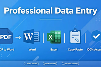 do data entry excel work pdf to word typing work