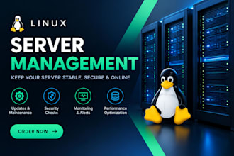 manage and maintain your linux vps server