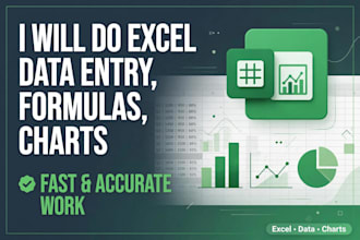 do excel data entry, formulas, and charts and graphs