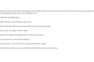 convert your audio recordings into clean text