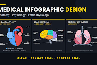 design medical education infographics and anatomy diagrams