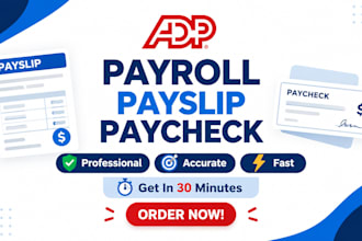 prepare accurate payroll, payslips, and paychecks for you