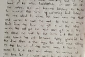 write anything with my beautiful hand writing