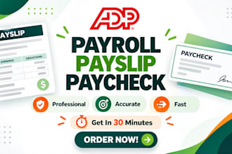 do accurate payroll, payslip and paycheck for you