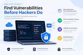 web and API vulnerability assessment and security audit