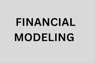 do financial modeling and audit