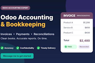 provide odoo bookkeeping, accounting and excel services