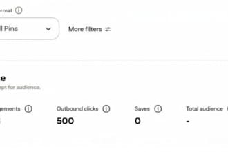 be your pinterest account manager